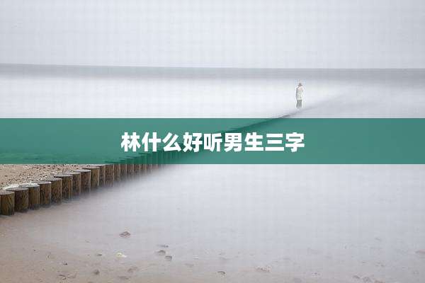 林什么好听男生三字