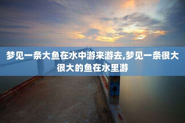 梦见一条大鱼在水中游来游去,梦见一条很大很大的鱼在水里游