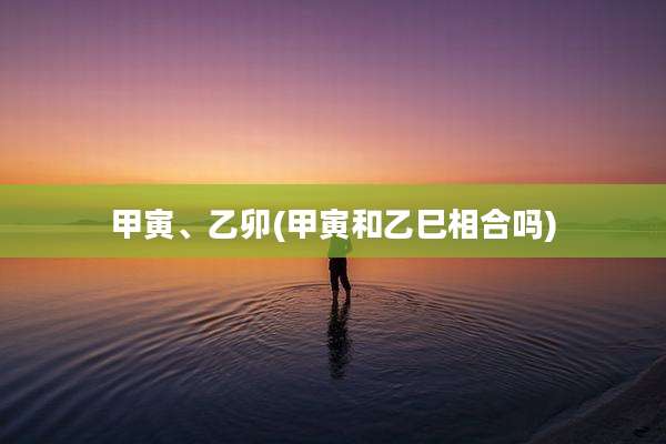 甲寅、乙卯(甲寅和乙巳相合吗)