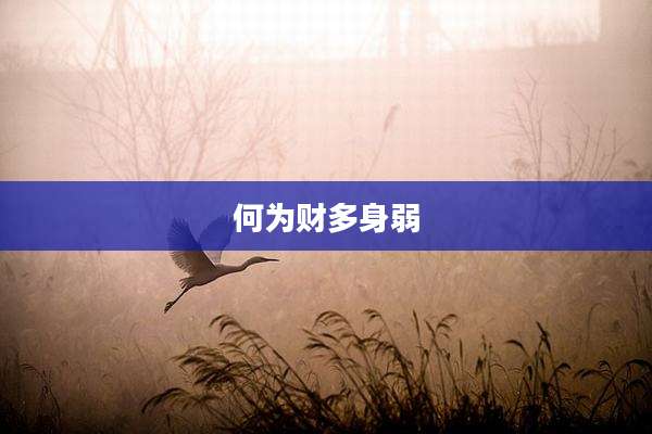何为财多身弱