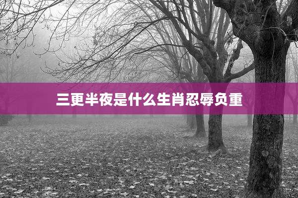 三更半夜是什么生肖忍辱负重
