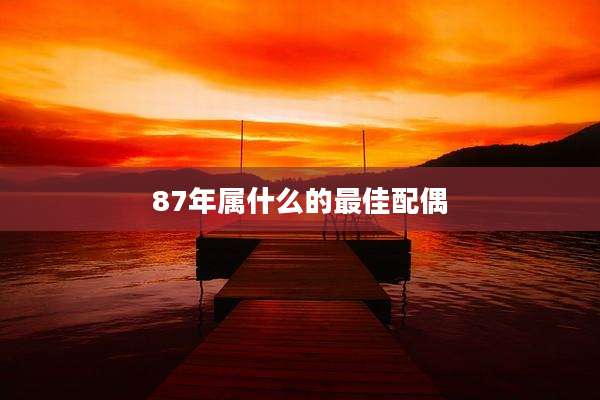 87年属什么的最佳配偶