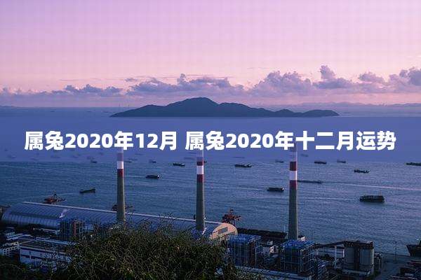 属兔2020年12月 属兔2020年十二月运势
