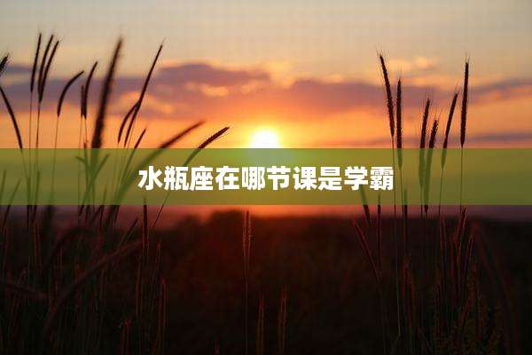 水瓶座在哪节课是学霸