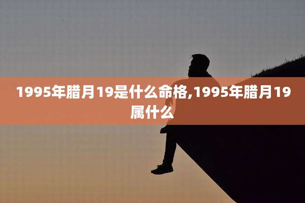 1995年腊月19是什么命格,1995年腊月19属什么