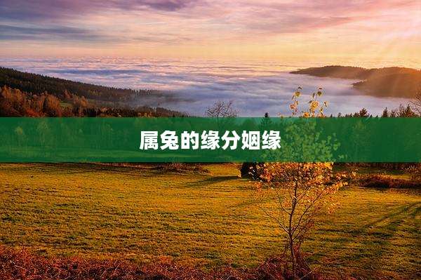 属兔的缘分姻缘