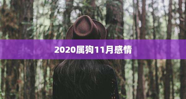 2020属狗11月感情