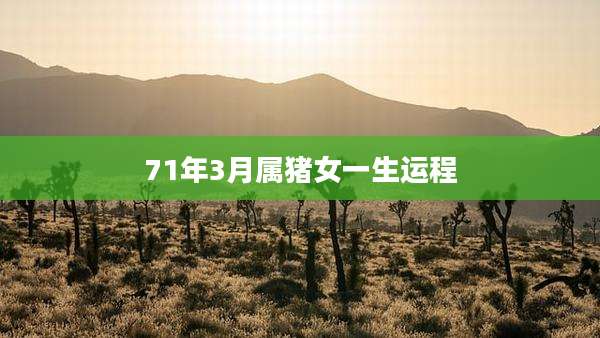 71年3月属猪女一生运程
