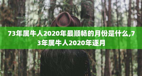 73年属牛人2020年最顺畅的月份是什么,73年属牛人2020年逐月