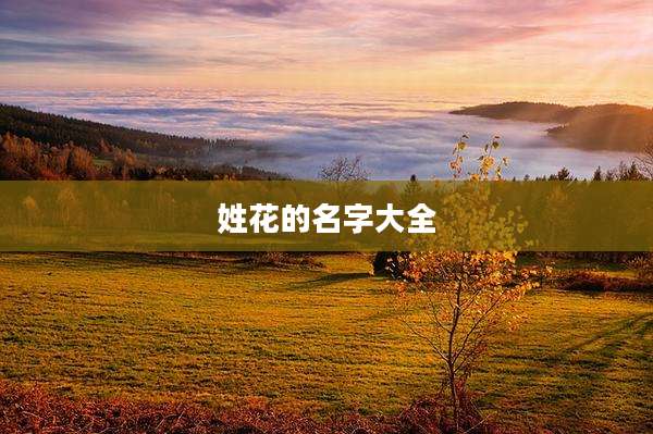 姓花的名字大全