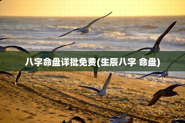 八字命盘详批免费(生辰八字 命盘)