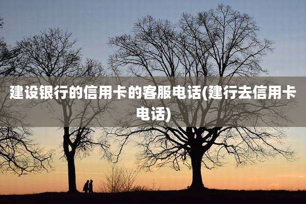 建设银行的信用卡的客服电话(建行去信用卡电话)