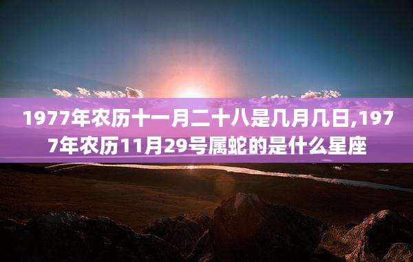 1977年农历十一月二十八是几月几日,1977年农历11月29号属蛇的是什么星座
