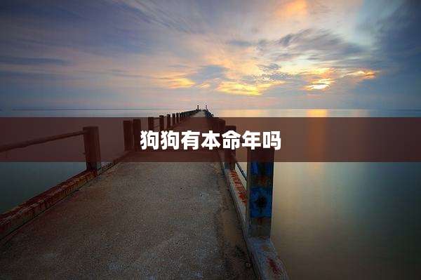 狗狗有本命年吗