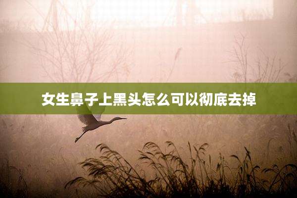 女生鼻子上黑头怎么可以彻底去掉