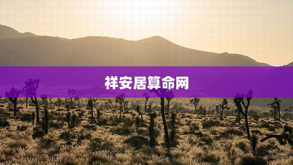 祥安居算命网