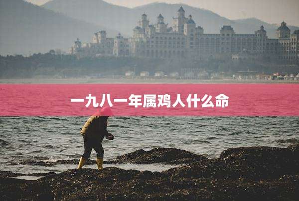 一九八一年属鸡人什么命