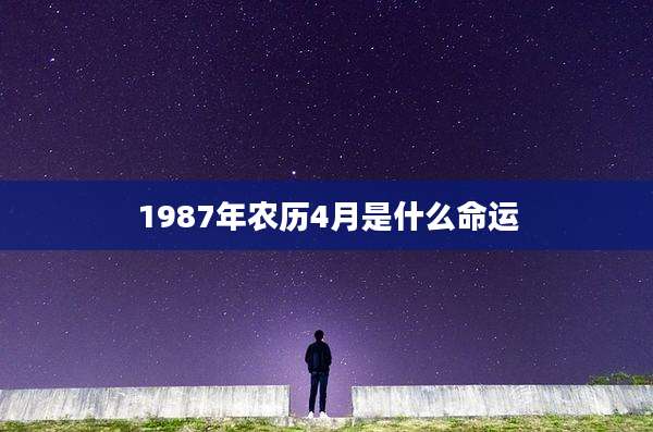 1987年农历4月是什么命运