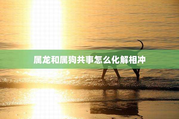 属龙和属狗共事怎么化解相冲