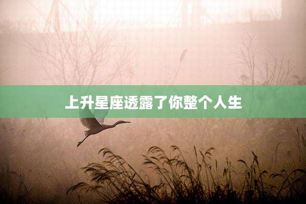 上升星座透露了你整个人生