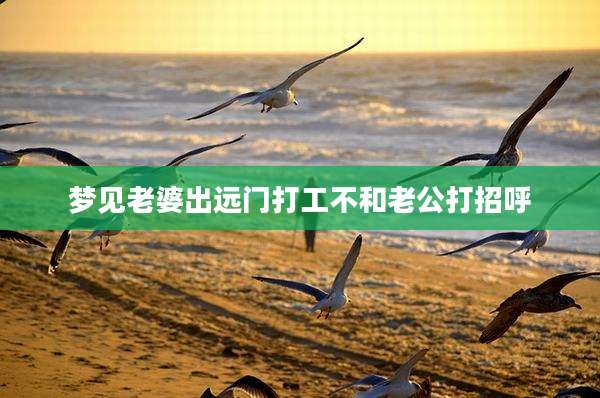 梦见老婆出远门打工不和老公打招呼
