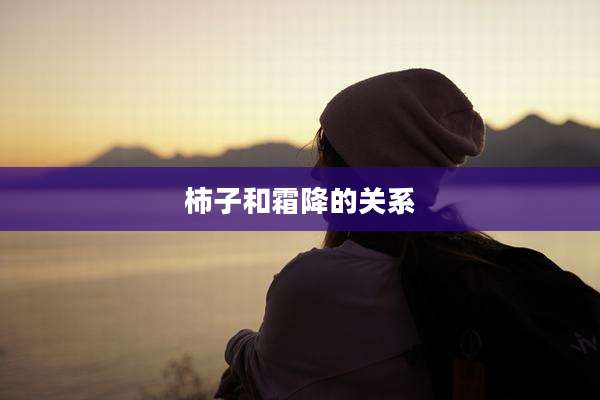 柿子和霜降的关系