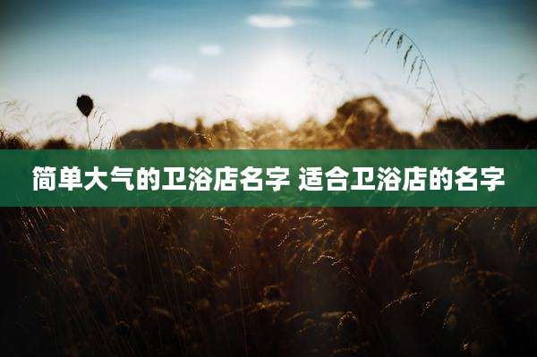 简单大气的卫浴店名字 适合卫浴店的名字