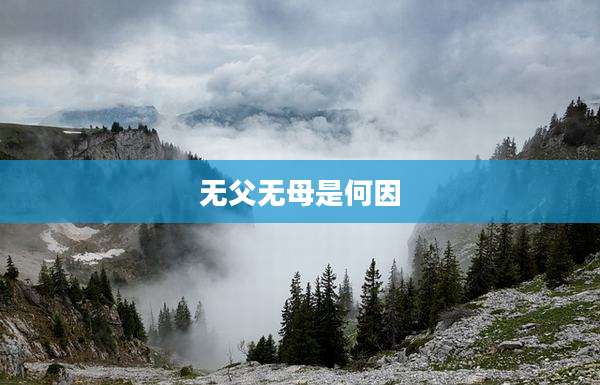 无父无母是何因