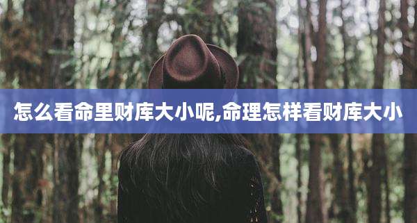 怎么看命里财库大小呢,命理怎样看财库大小
