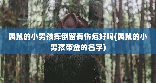 属鼠的小男孩摔倒留有伤疤好吗(属鼠的小男孩带金的名字)