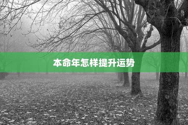 本命年怎样提升运势