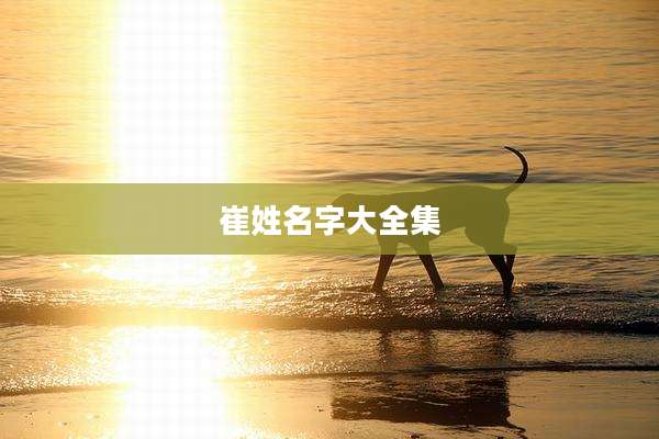 崔姓名字大全集