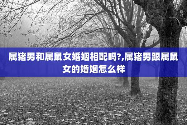 属猪男和属鼠女婚姻相配吗?,属猪男跟属鼠女的婚姻怎么样