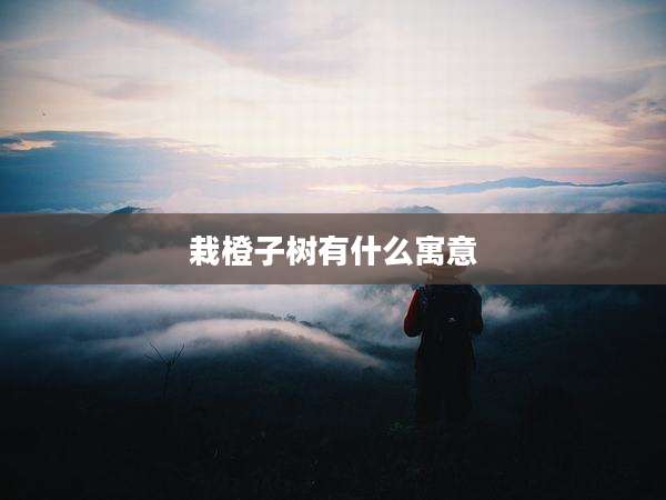 栽橙子树有什么寓意