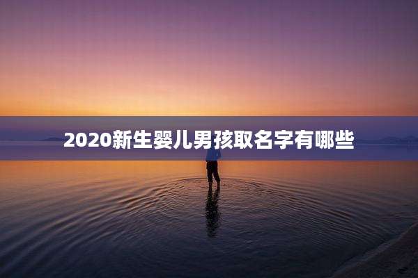 2020新生婴儿男孩取名字有哪些