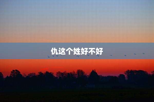 仇这个姓好不好