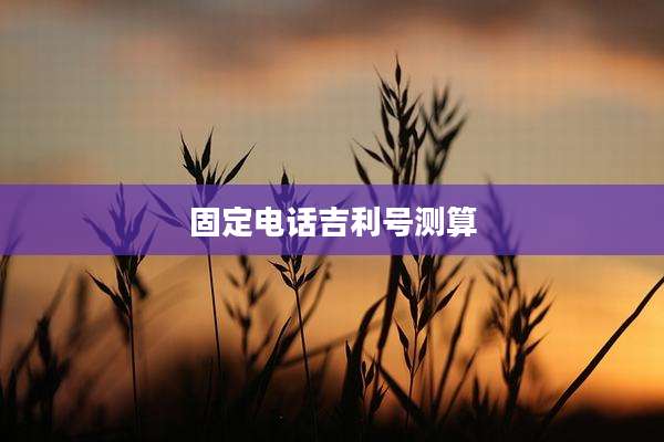 固定电话吉利号测算