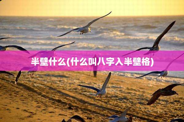 半壁什么(什么叫八字入半壁格)