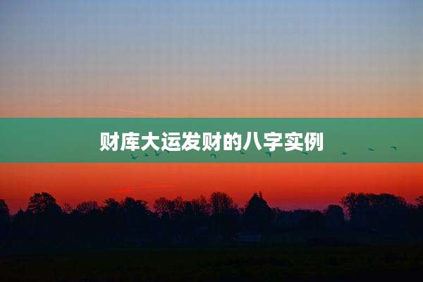 财库大运发财的八字实例