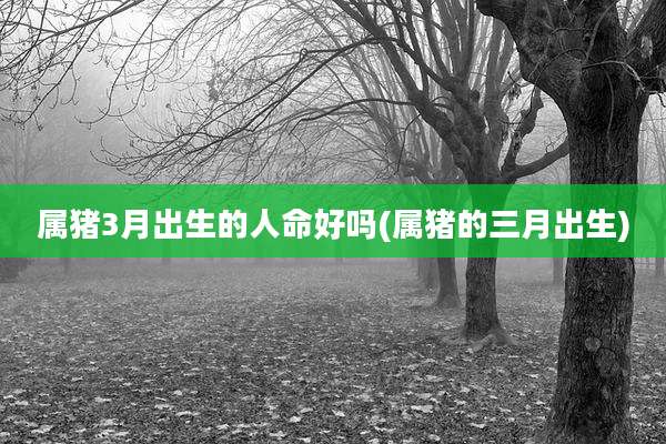 属猪3月出生的人命好吗(属猪的三月出生)