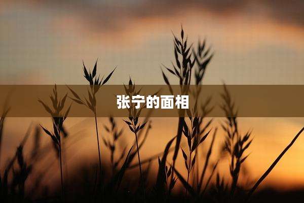 张宁的面相