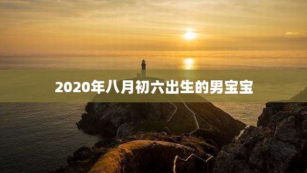 2020年八月初六出生的男宝宝