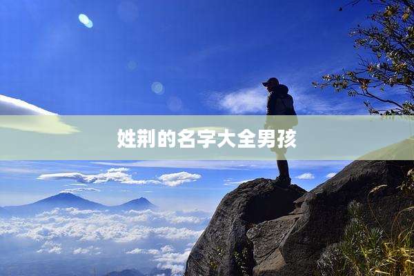 姓荆的名字大全男孩