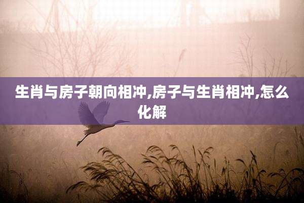 生肖与房子朝向相冲,房子与生肖相冲,怎么化解
