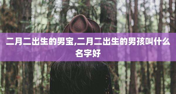 二月二出生的男宝,二月二出生的男孩叫什么名字好