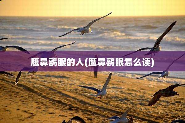 鹰鼻鹞眼的人(鹰鼻鹞眼怎么读)