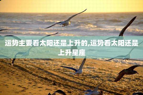 运势主要看太阳还是上升的,运势看太阳还是上升星座