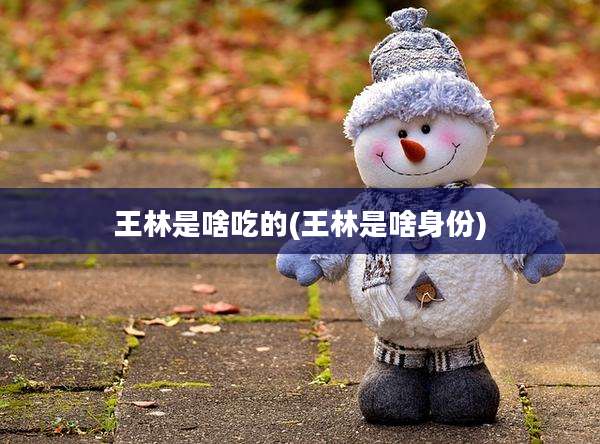 王林是啥吃的(王林是啥身份)