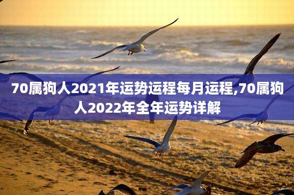 70属狗人2021年运势运程每月运程,70属狗人2022年全年运势详解