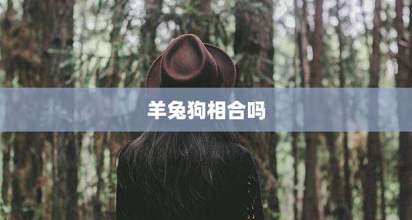 羊兔狗相合吗